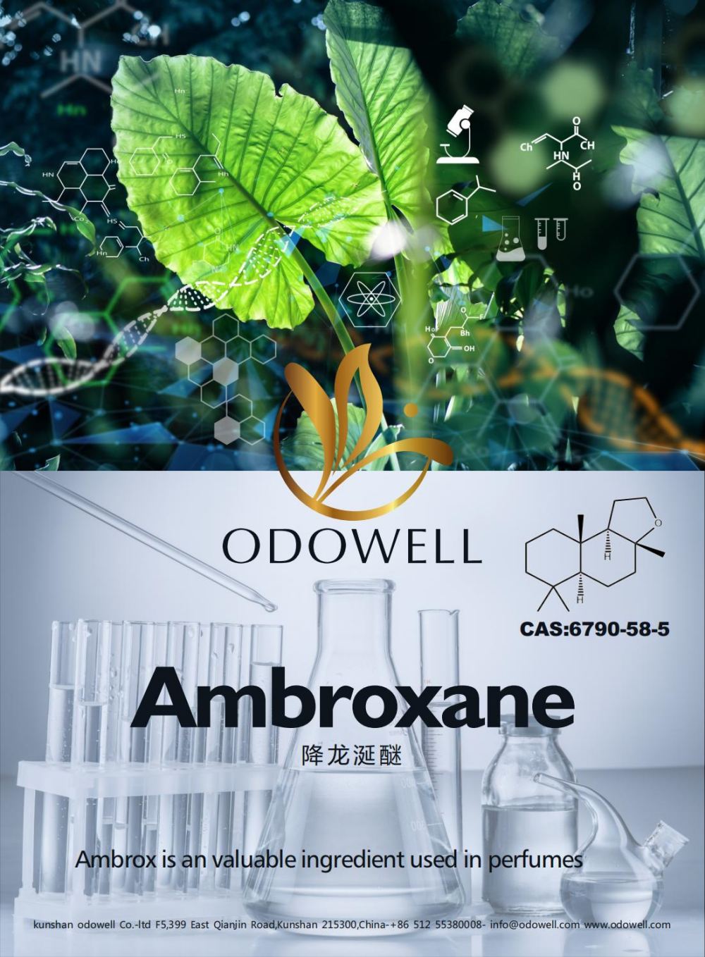 يحتفل Odowell بسنة ناجحة لـ Ambroxane (Ambrox)