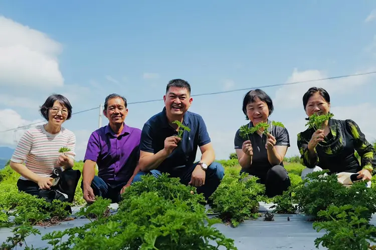 جولة Odowell's Yunnan Research and Study Tour في أغسطس 2025