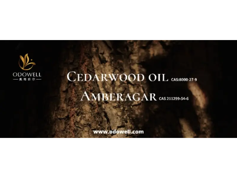 هل رائحتك المميزة فريدة حقًا؟