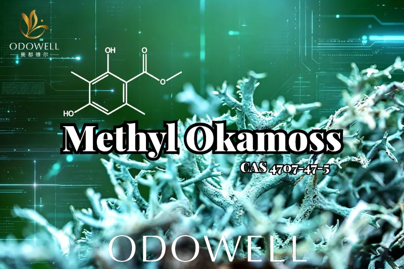 ​ODOWELL تقدم Methyl Okamoss: طحلب البلوط الاصطناعي الأصيل لإتقان الشيبر والفوجير