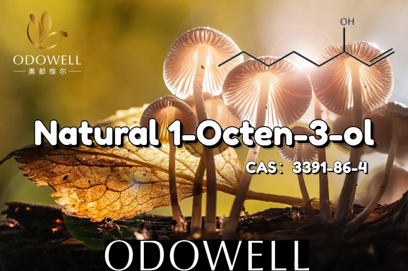 توصي شركة ODOWELL باستخدام 1-Octen-3-ol الطبيعي لتطبيقات النكهة الشبيهة بالفطر والنكهة الترابية