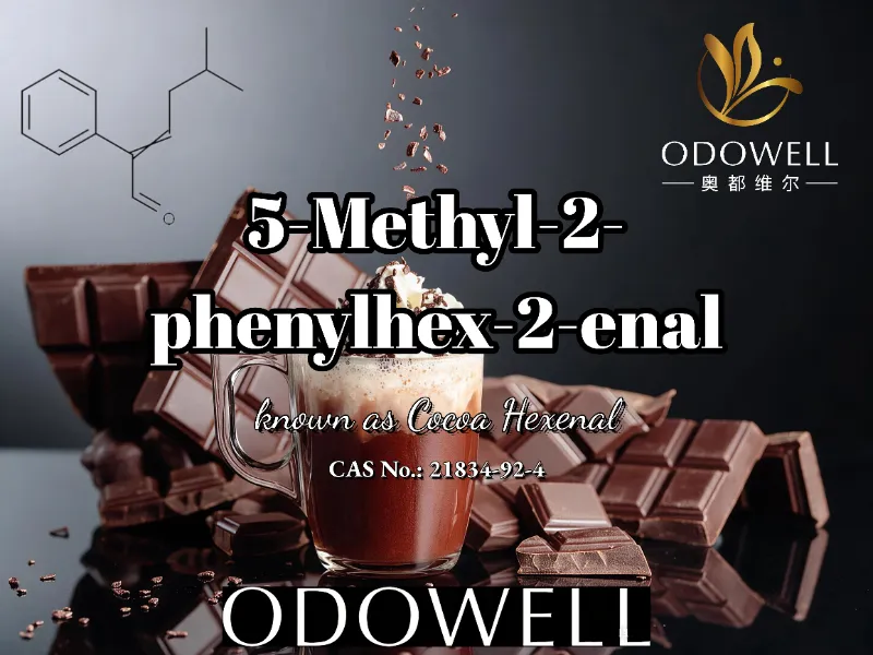 ​توصي شركة ODOWELL باستخدام 5-Methyl-2-phenylhex-2-enal في تطبيقات الكاكاو والشوكولاتة والموكا