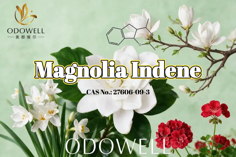 توصي شركة ODOWELL باستخدام ماجنوليا إندين لاستخدامات العطور الزهرية الخضراء والحمضية المنعشة