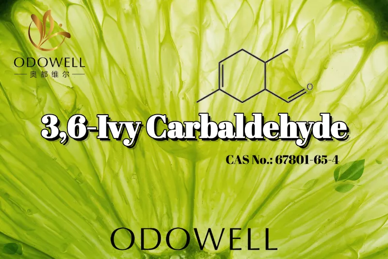 ​توصي شركة ODOWELL باستخدام 3,6-Ivy Carbaldehyde لتطبيقات عطور الحمضيات الخضراء والحامضة بشكل مكثف
